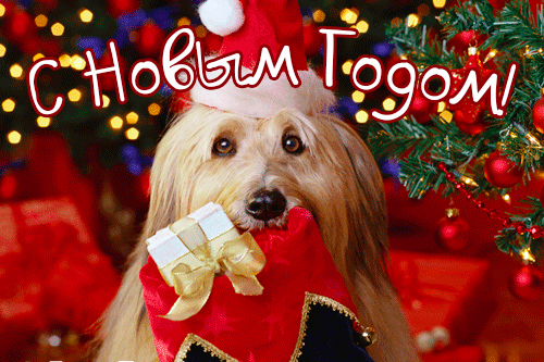 gif otkrytka s novym godom 2018 3